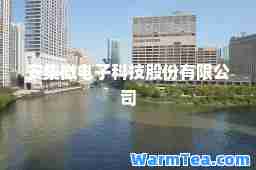 安集微电子科技股份有限公司