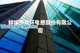 蚌埠市双环电感股份有限公司 蚌埠市双环电感股份有限公司