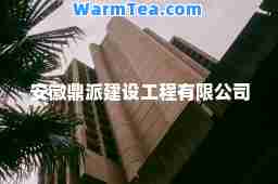 安徽鼎派建设工程有限公司