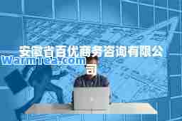 安徽省百优商务咨询有限公司 安徽省百优商务咨询有限公司