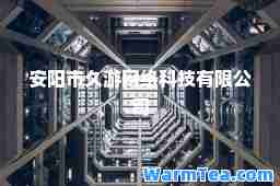 安阳市久游网络科技有限公司