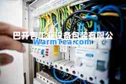 巴开吉工业设备包装有限公司