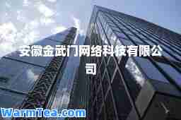 安徽金武门网络科技有限公司