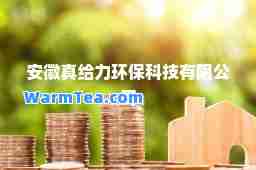 安徽真给力环保科技有限公司