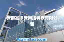 安徽富思安网络科技有限公司