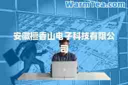 安徽檀香山电子科技有限公司