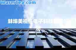 蚌埠美视佳电子科技有限公司