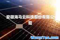安徽海马云科技股份有限公司