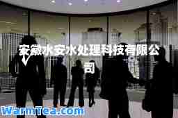 安徽水安水处理科技有限公司