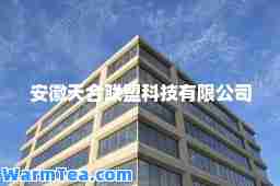 安徽天联盟科技有限公司