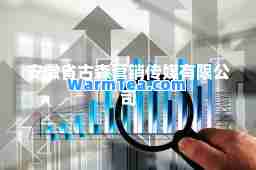 安徽省古森营销传媒有限公司