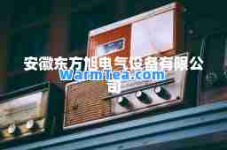 安徽东方旭电气设备有限公司