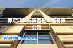 保定鸿友安防监控工程有限公司