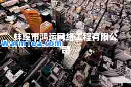 蚌埠市鸿运网络工程有限公司