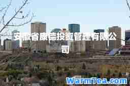 安徽省康德投资管理有限公司 安徽省康德投资管理有限公司