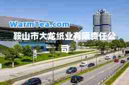 鞍山市大龙纸业有限责任公司