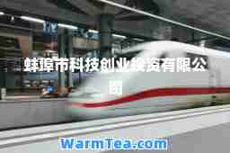 蚌埠市科技创业投资有限公司
