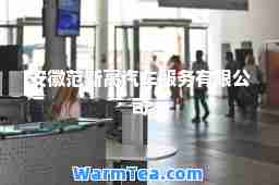 安徽范斯高汽车服务有限公司