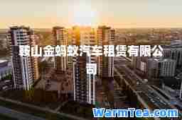 鞍山金蚂蚁汽车租赁有限公司