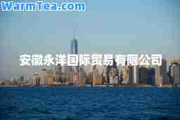 安徽永洋贸易有限公司