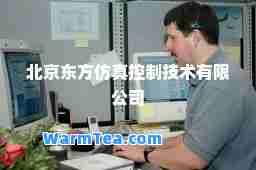 北京东方仿真控制技术有限公司