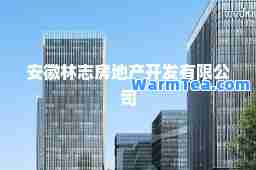 安徽林志房地产开发有限公司