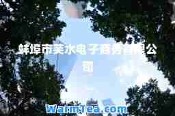 蚌埠市芙水电子商务有限公司