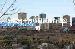 安徽省十方项目管理有限公司