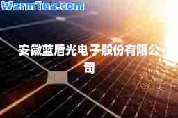 安徽蓝盾光电子股份有限公司
