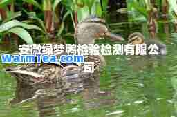 安徽绿梦鸭检验检测有限公司
