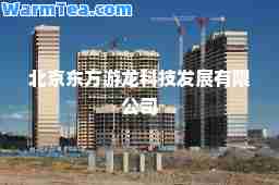 北京东方游龙科技发展有限公司
