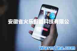 安徽省火乐智能科技有限公司
