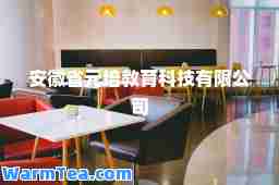 安徽省元培教育科技有限公司