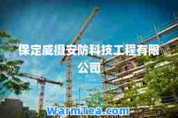 保定威摄安防科技工程有限公司