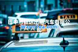 巴中市畅达出租汽车有限公司
