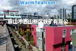 鞍山市西山新区铁矿有限公司