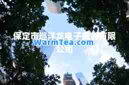 保定市巡洋龙电子商务有限公司 保定市巡洋龙电子商务有限公司