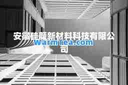 安徽硅颜新材料科技有限公司
