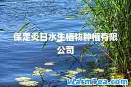 保定炎日水生植物种植有限公司 保定炎日水生植物种植有限公司