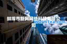 蚌埠市新网网络科技有限公司