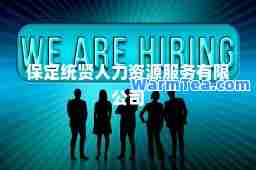 保定统贤人力资源服务有限公司