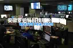安徽罗伯特科技股份有限公司