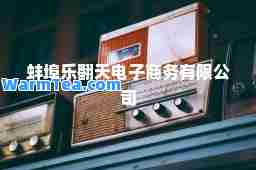 蚌埠乐翻天电子商务有限公司