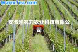 安徽超农力农业科技有限公司