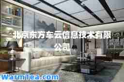 北京东方车云信息技术有限公司