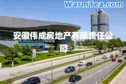 安徽伟成房地产有限责任公司
