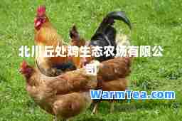北川丘处鸡生态农场有限公司