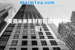 安徽米未来财务管理有限公司