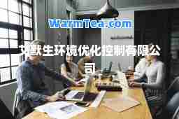 艾默生环境优化控制有限公司
