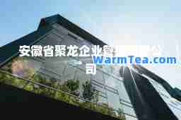 安徽省聚龙企业管理有限公司